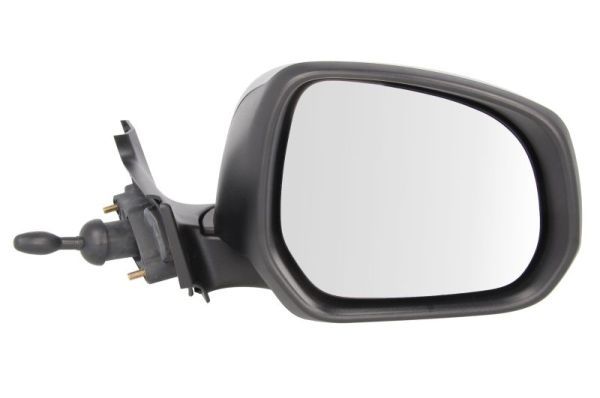 BLIC 5402-04-2001968P Exterior Mirror