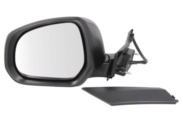 BLIC 5402-04-2001971P Exterior Mirror