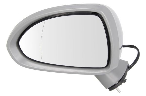 BLIC 5402-04-2001989P Exterior Mirror