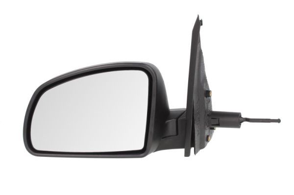 BLIC 5402-04-2001993P Exterior Mirror