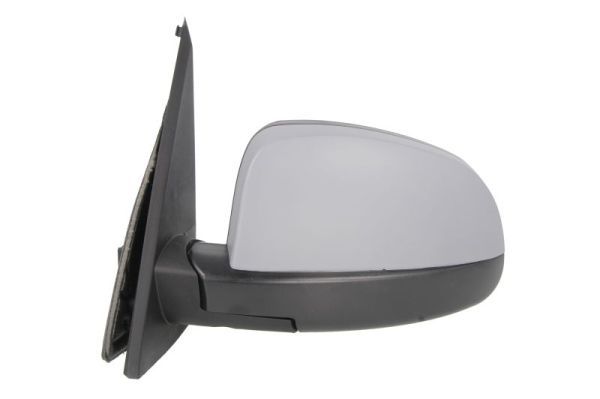 BLIC 5402-04-2001997P Exterior Mirror