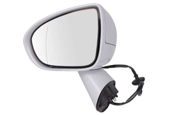 BLIC 5402-04-2002001P Exterior Mirror