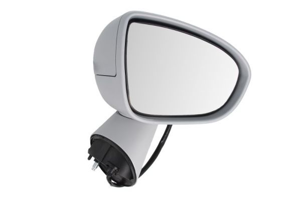 BLIC 5402-04-2002002P Exterior Mirror