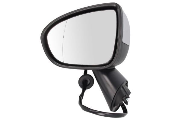 BLIC 5402-04-2002003P Exterior Mirror