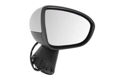 Exterior Mirror BLIC 5402-04-2002004P