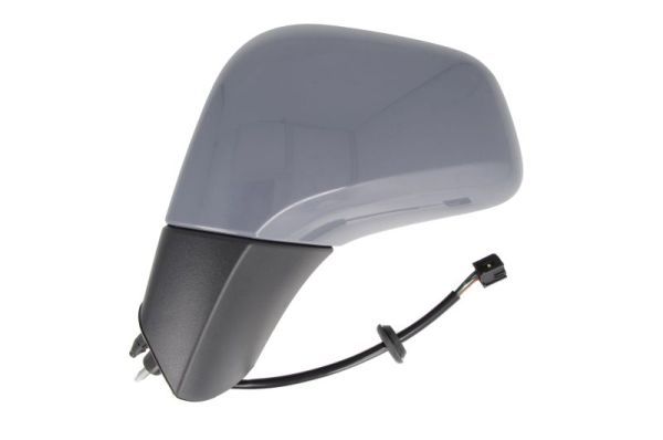 BLIC 5402-04-2002011P Exterior Mirror