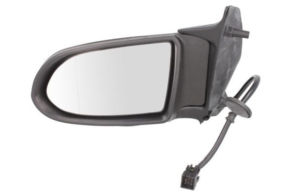 BLIC 5402-04-2002041P Exterior Mirror