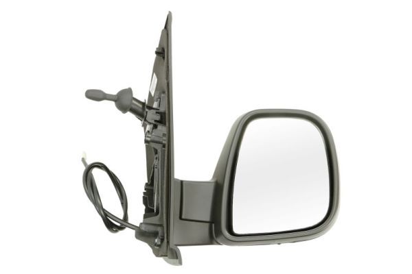 BLIC 5402-04-2103392P Exterior Mirror