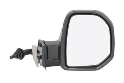 Exterior Mirror BLIC 5402-04-9212996P