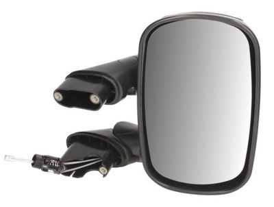 Exterior Mirror BLIC 5402-04-9215939