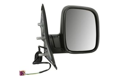 Exterior Mirror BLIC 5402-04-9221985