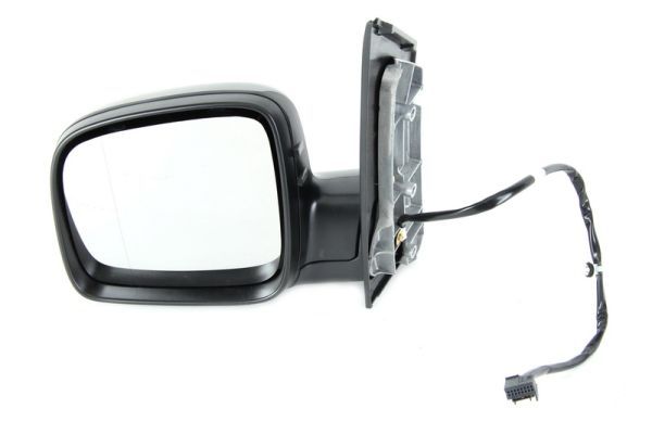 BLIC 5402-04-9225152 Exterior Mirror