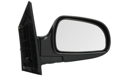 Exterior Mirror BLIC 5402-04-9228589