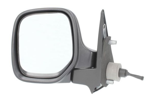 BLIC 5402-04-9237972 Exterior Mirror