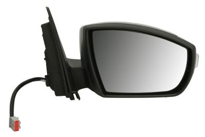 Exterior Mirror BLIC 5402-04-9239375