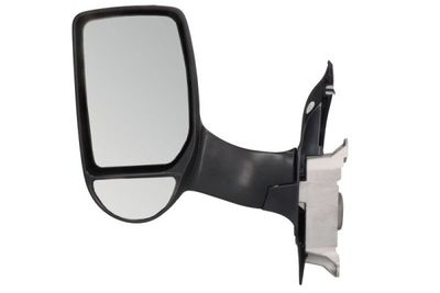 Exterior Mirror BLIC 5402-04-9299919