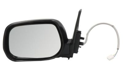Exterior Mirror BLIC 5402-04-9921993P