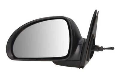 Exterior Mirror BLIC 5402-04-9927131P