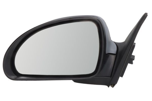 BLIC 5402-04-9927133P Exterior Mirror