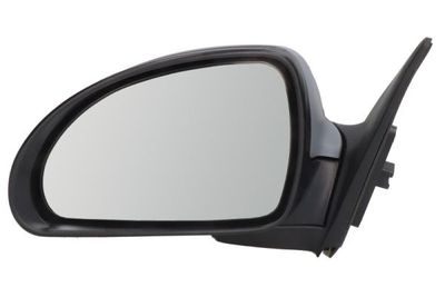 Exterior Mirror BLIC 5402-04-9927133P