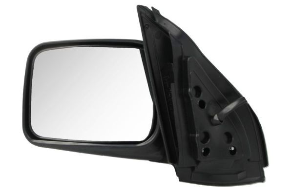 BLIC 5402-04-9929513P Exterior Mirror