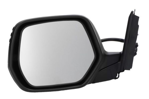 BLIC 5402-04-9929939 Exterior Mirror