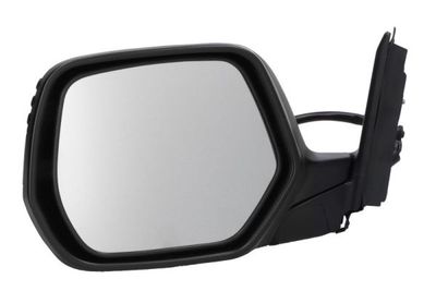 Exterior Mirror BLIC 5402-04-9929939