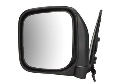 Exterior Mirror BLIC 5402-04-9991929P