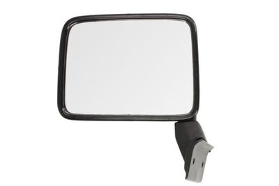 Exterior Mirror BLIC 5402-04-9991939P