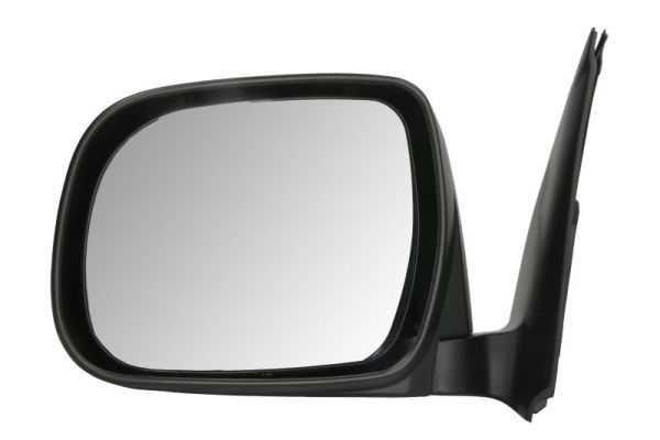 BLIC 5402-04-9999931P Exterior Mirror