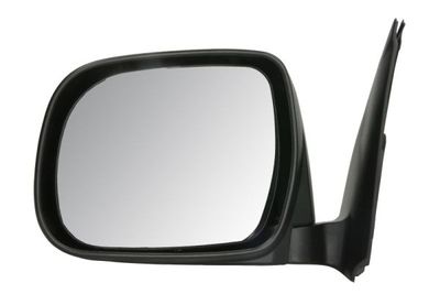 Exterior Mirror BLIC 5402-04-9999931P