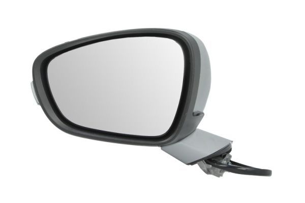 BLIC 5402-08-035361P Exterior Mirror