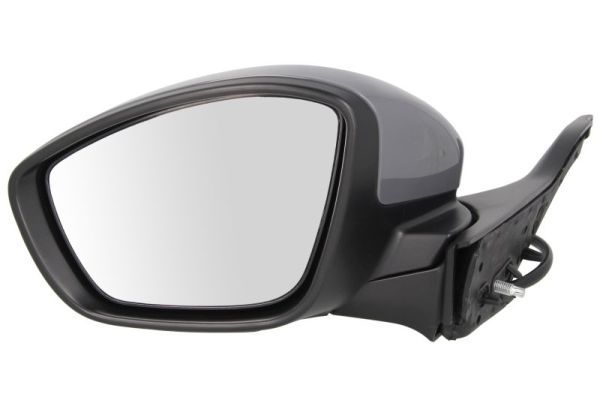 BLIC 5402-08-2002053P Exterior Mirror