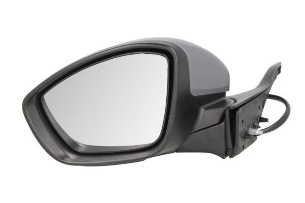 BLIC 5402-08-2002055P Exterior Mirror