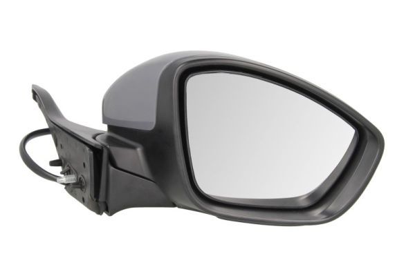 BLIC 5402-08-2002058P Exterior Mirror