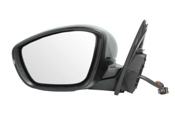 BLIC 5402-08-2002079P Exterior Mirror