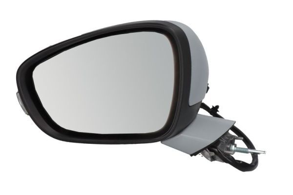 BLIC 5402-08-2002091P Exterior Mirror