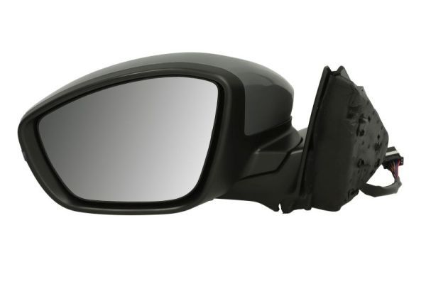 BLIC 5402-08-2262310P Exterior Mirror