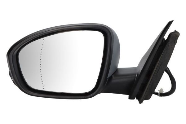 BLIC 5402-09-1231361P Exterior Mirror
