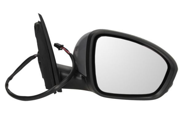 BLIC 5402-09-1231362P Exterior Mirror