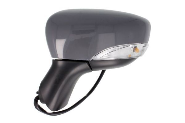BLIC 5402-09-2002105P Exterior Mirror