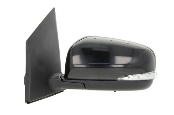 BLIC 5402-09-2002165P Exterior Mirror
