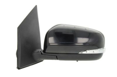 Exterior Mirror BLIC 5402-09-2002165P