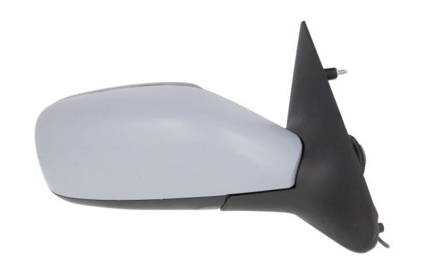 BLIC 5402-09-2002168P Exterior Mirror