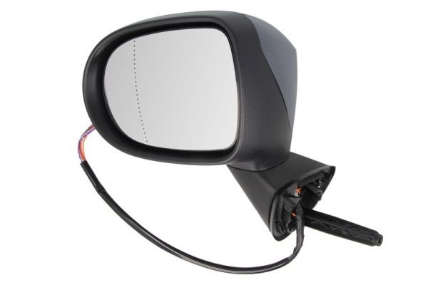 BLIC 5402-09-2002201P Exterior Mirror