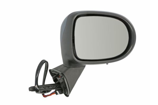 BLIC 5402-09-2002202P Exterior Mirror