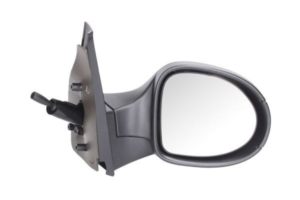 BLIC 5402-09-2002208P Exterior Mirror