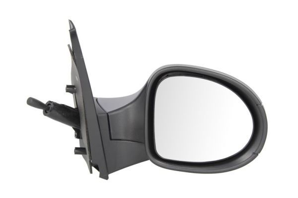 BLIC 5402-09-2002210P Exterior Mirror