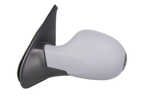 BLIC 5402-09-2002213P Exterior Mirror