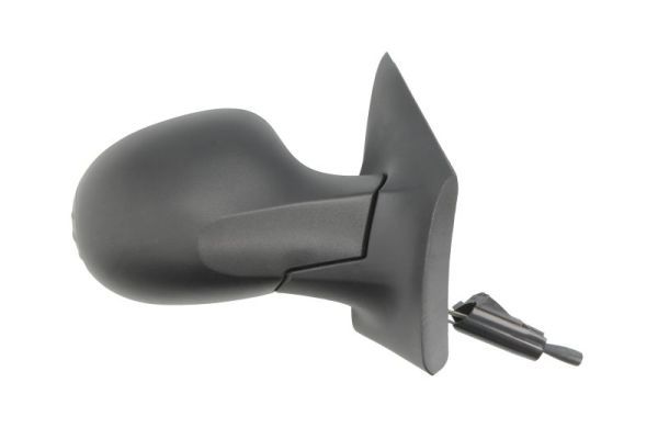 BLIC 5402-09-2002220P Exterior Mirror
